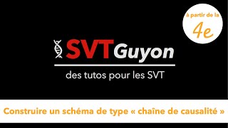 SVT Guyon  Tuto Construire un schéma type quotchaîne de causalitéquot dès la 4e [upl. by O'Driscoll]