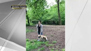 Woman Fired After Viral Central Park Confrontation  NBC New York [upl. by Stockwell]