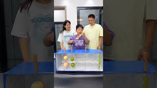 Fruit Guess with family familyvlog [upl. by Nairam]