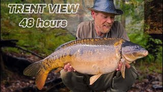 Spring Carp fishing TRENT VIEW Fishery [upl. by Neona505]