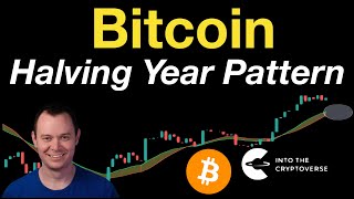 Bitcoin Early Halving Year Pattern Update [upl. by Yodlem]