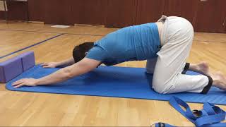 Livestream Mobility Workout Flow zum Zuhause nachmachen [upl. by Loomis]