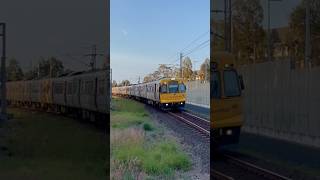 Rosewood EMU4847 passing Carseldine station with long whistle board horn [upl. by Ibur]