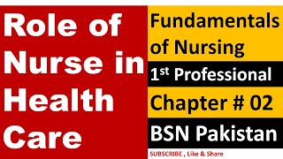 Role of Nurse in health care  Fundamentals of Nursing lectures  BSN Pakistan  BSN Lectures [upl. by Eceryt]