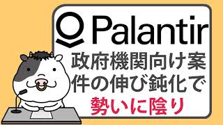 パランティア、政府機関向け案件の伸び鈍化で、勢いに陰り【20240122】 [upl. by Hcra]