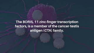 BORIS Gene Mutation and Expression Link to Breast Cancer Progression  Oncotarget [upl. by Eniac15]