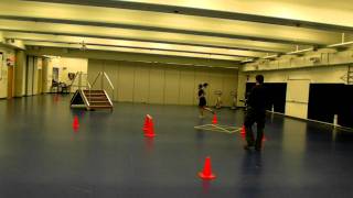 RCMP  GRC PARE  TAPE Physical Abilities Requirement Evaluation [upl. by Ahsiekim]