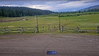 Turpin Meadow Ranch  Near Grand Teton Park [upl. by Oicanata653]