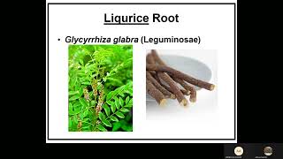 Phytochemistry  Lecture 10 Saponins  Cardioactive drugs [upl. by Breana]