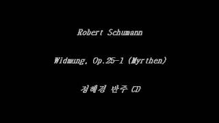 Widmung Schumann  Myrthen Op 251  Accompaniment [upl. by Genet897]