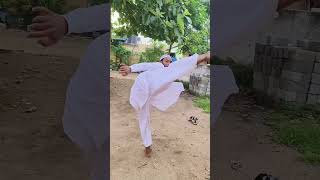 Shaolin kung fu Kick 🦵🦶 exercise shaolin kungfu shaolinstyle [upl. by Eniledgam263]