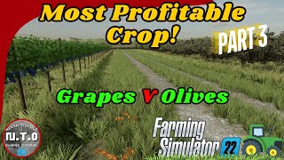 FS22 Most Profitable Crop Part 3 Grapes vs Olives Help I Bought a Farm Farming Simulator 22 [upl. by Ahsitauq]