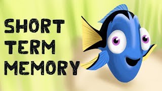 Types of Memory  Short Term amp Working Memory Long Term Memory Explicit and Implicit [upl. by Burnsed]