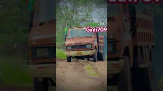 wait for end keep watching music dog edit tatamotors tatapower pitbullvs [upl. by Adriene]