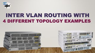 Inter VLAN Routing with 4 Different Topology [upl. by Servetnick618]