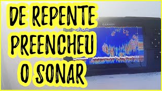 PARECE ATÉ MENTIRA COMO O SONAR FORROU DE PEIXE Pescaria No AltoMar Com Pargueira [upl. by Jonati]