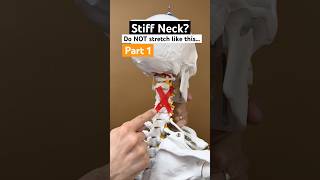 Part 1 of 2  How to stretch a stiff neck on thanksgiving physicaltherapy neckpainrelief [upl. by Coplin531]