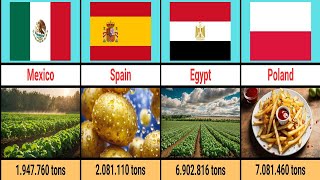 The 60 Countries That Produce the Most Potatoes in the World [upl. by Leeda]