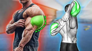 5 Triceps Exercises to Increase Arm Size [upl. by Boyd]