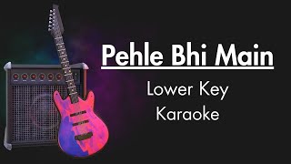 Pehle Bhi Main Lower Key Karaoke  Unplugged Karaoke With Lyrics  Animal  Vishal Mishra [upl. by Refinnaj]