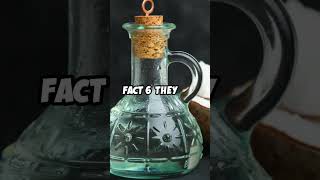 7 Amazing Facts About Coconuts You Didnt know facts shorts fruit coconut nature didyouknow [upl. by Cheria]