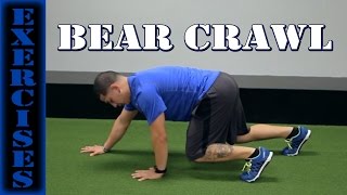 Exercise Bear Crawl [upl. by Risley933]