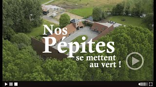 LES PEPITES IRD 2024 TEASER [upl. by Gentille]