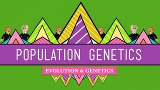 Population Genetics When Darwin Met Mendel  Crash Course Biology 18 [upl. by Eirene]