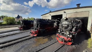 Festwochenende  125 Jahre Harzquer  und Brockenbahn 2408  25082024 [upl. by Garate650]