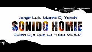 CUMBIAS TROPICALES 2024 VOL 2  SONIDO HOMIE SLP DJ YORCH [upl. by Yrollam]