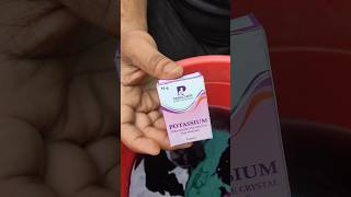 Potassium Permanganate uses in farming  Kisaan Aaj Ka farming shorts [upl. by Neztnaj760]