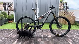 Orbea Rise H30 [upl. by Brandais]