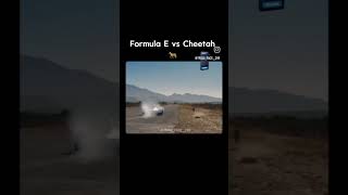 Cheetah vs Formula E [upl. by Vickie]