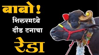 कृषी प्रदर्शनशिरूर reda रेडा shirur shirurkatta shirurnews viral shetkari comedy funny [upl. by Ragg]