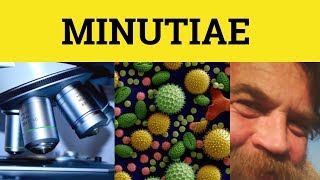 🔵 Minutiae  Minutiae Meaning  Minutiae Examples  Latin in English [upl. by Guise21]