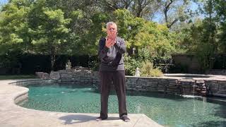 BUDDHA PALM Healing Hands EXPANDED Zen Garden Qi Gong With Qi Gong Master Daviddavidmitchell6972 [upl. by Aseena]