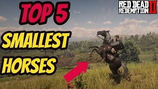 Red Dead Redemption 2 TOP 5 Best Smallest Breeds [upl. by Lebasiram504]