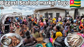 Largest seafood market in lomé Buying and cooking Delicious Fish and Attieké in Togo 🇹🇬west Africa🌍 [upl. by Stutsman]