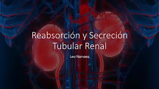 Reabsorción y Secreción Tubular Renal [upl. by Glinys]