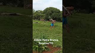 Mutirão na Aldeia Pedra Branca povoindigena [upl. by Attelliw]