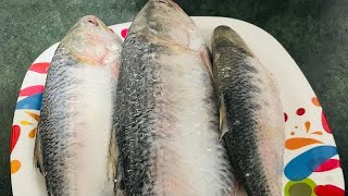 Ilish macher polau ilish polou ইলিশ মাছের পোলাও বাংলাদেশি কুকিং ilish polou recepi viral 🧡❤️🧡 [upl. by Trimmer325]