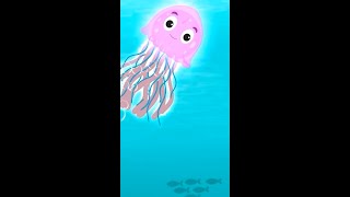 Comparing an Octopus and a Jellyfish  Ocean Explorers  Baby Einstein  Shorts  Kids Cartoons [upl. by Quartas]