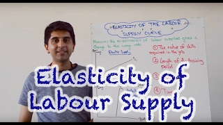 Elasticity of the Labour Supply Curve [upl. by Sunil888]