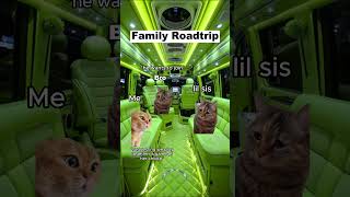 CAT MEMES 🐱Family Roadtrip P2 catmemes relatable shorts viralvideos [upl. by Quintie]