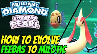 How to evolve FEEBAS to MILOTIC in Pokemon Brilliant Diamond and Shining Pearl [upl. by Mcdougall]