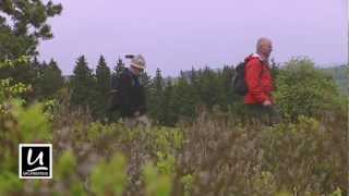 Wandern in Willingen  Kurzfilm [upl. by Anitirhc]