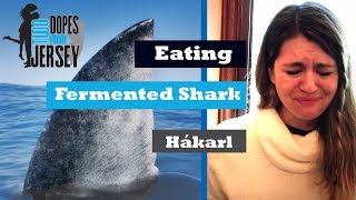 Eating Fermented Shark Hakarl [upl. by Asyral619]