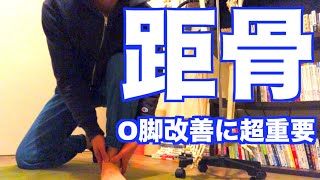 【膝下O脚 簡単な治し方】「O脚改善」には「距骨のズレ」を治すのが超重要！ [upl. by Pearle819]