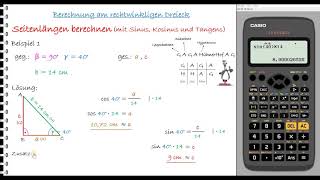 Trigonometrie  Sinus Kosinus und Tangens [upl. by Ahsakal]