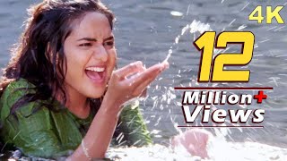 Dil Hai Chhota Sa 4K Video Song Hindi  Roja 1992  AR Rahman Superhit Song  Madhoo [upl. by Jadda856]